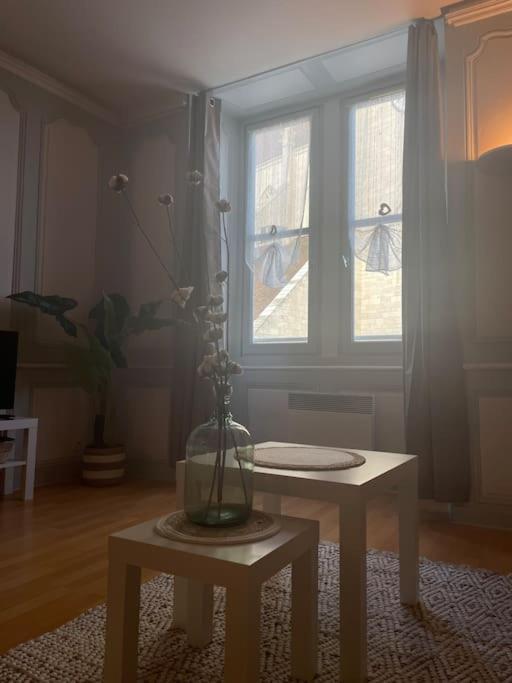« Au Coeur De Dole » Apartment Bagian luar foto